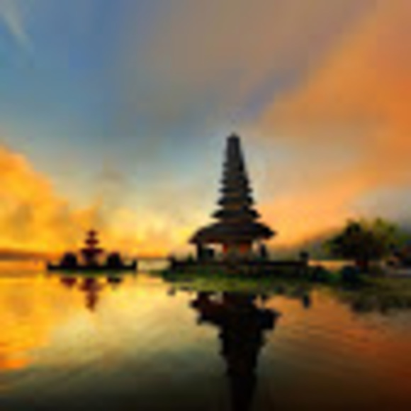 Meet your Posher, Bradley - Picture 1 of 1